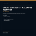 Limen Vitalis Opioid Overdose and Naloxone Response — LV-NAL-01